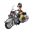 motorcu.gif